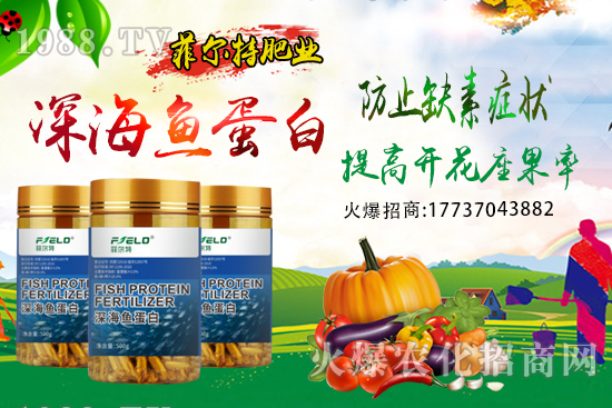 青梗菜種植時(shí)間，青梗菜栽培及管理關(guān)鍵要點(diǎn)！