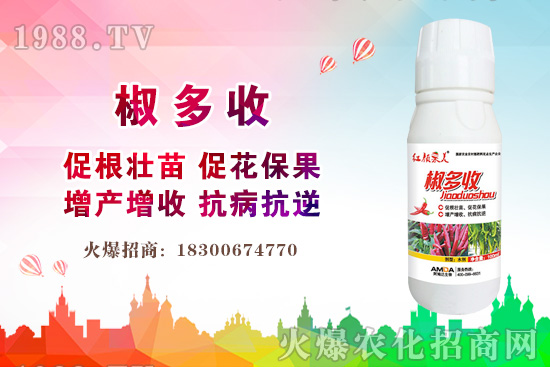 小麥價格多少錢一斤？2020年后期小麥價格還會上漲嗎？