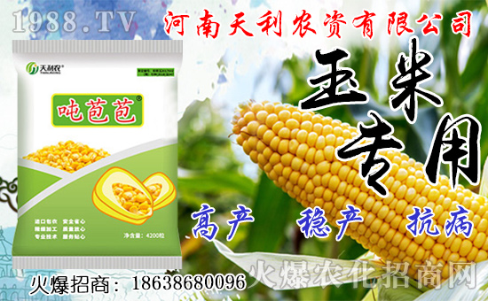 種人參果到底掙不掙錢？種植前景如何？人參果種子怎么種？