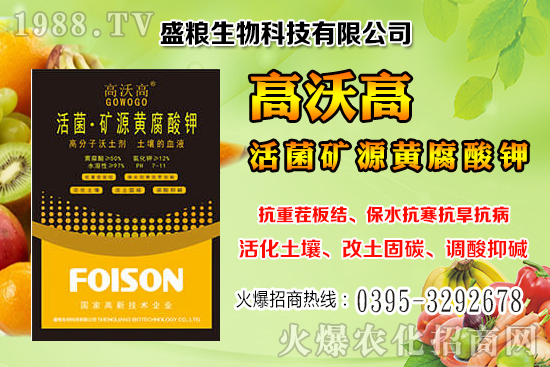 人參果畝產效益是多少？人參果的種植與管理技術！