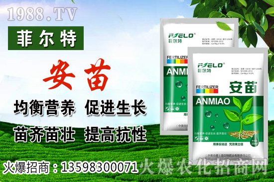 ���\�����L���h(hu��n)����Ҫ�󣬟��\���Nֲ�����ռ��g��