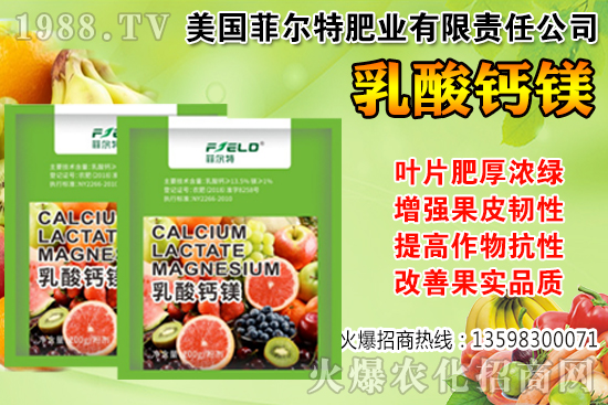 ���Ѳ��պ���α��r�����Ѳ��պ���@ע�����(xi��ng)��