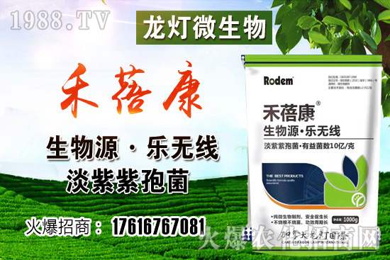 西紅柿授粉方法是？西紅柿露天和大棚種植有何不同？