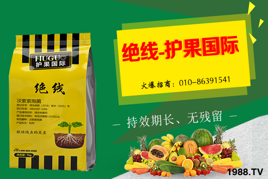 �Ә����L(zh��ng)�l������Щ���Ә�����������g(sh��)��