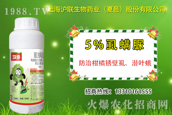 柑橘銹壁虱有什么癥狀？怎么防治？柑橘銹壁虱用藥推薦