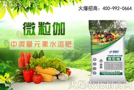 ����ԓ��ô��������������r(sh��)�g������ע��Ҫ�c(di��n)��