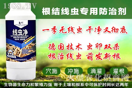 火龍果套袋起什么作用，火龍果套袋果袋如何選擇？