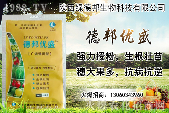 �����r������Xһ���������Nֲ�ĭh(hu��n)�������x������