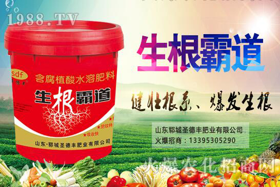 ������Nֲ����(ji��)��ʲô�r����������Nֲ��������Щ��