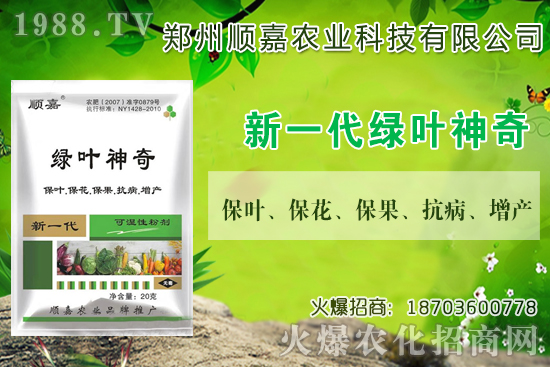 小麥價(jià)格連連上漲！現(xiàn)在一斤多少錢？