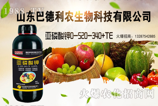 小麥價格能漲到多少錢一斤？部分地區(qū)價格行情！