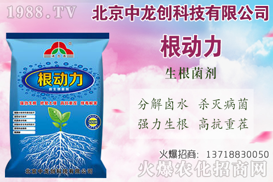 白蘿卜的需肥特性有哪些，白蘿卜施肥技術(shù)要點(diǎn)！