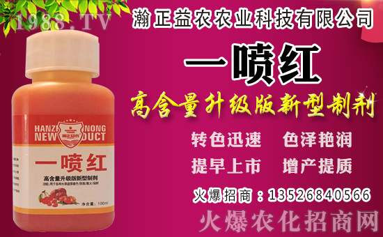 白蘿卜初秋種植還是深秋？白蘿卜種植時間和管理！