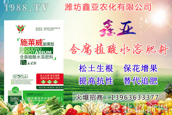 糧食漲價(jià)！20209月17日小麥價(jià)格行情如何？