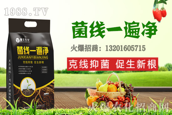 9月19日小麥價格更新，漲跌互現(xiàn)！