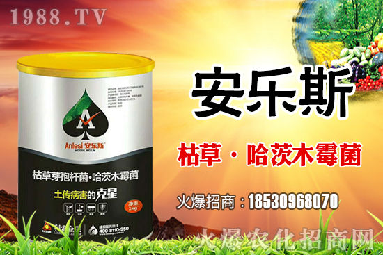 小麥種子是購買還是自留？小麥自留種子需要注意哪些內容？