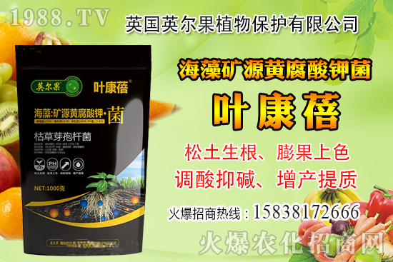 ��ô�Д����׺�ˮ��������������ˮ���й��ж���(j��ng)���