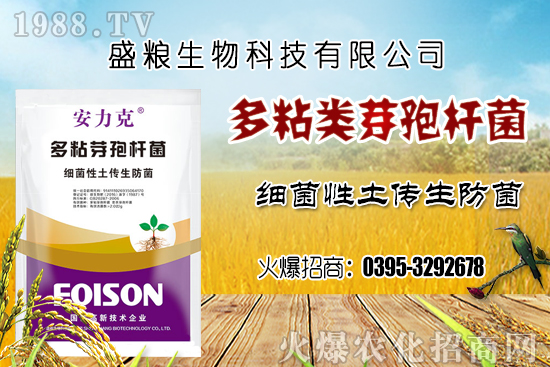 車厘子種植環(huán)境要求有哪幾點？車厘子良種選擇及良種套種！