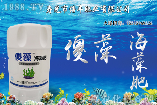 市場逐步回歸正?；久妫蠖箖r格沖高回落！