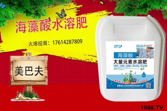 海藻肥具有哪些作用？與傳統(tǒng)肥料相比有何優(yōu)勢(shì)？