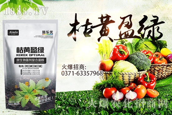 十月即將到來，麥價(jià)能漲多少？9月29日小麥價(jià)格走勢(shì)！