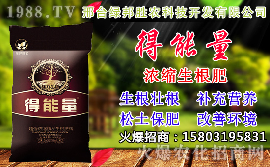 2020��С���N������x���߮a(ch��n)С��Ʒ�N����Щ��