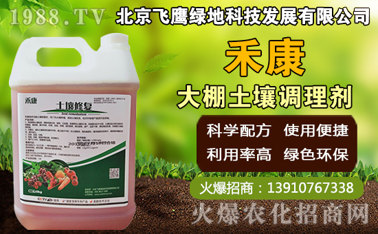 豬肚菇如何種植，豬肚菇栽培管理技術！