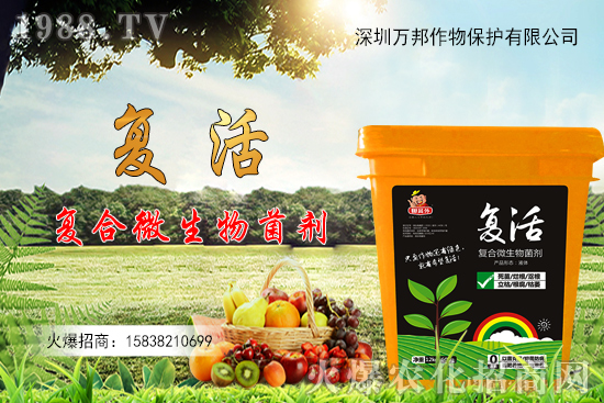 大棚油桃栽種后如何進(jìn)行管理，有什么方法要點(diǎn)？