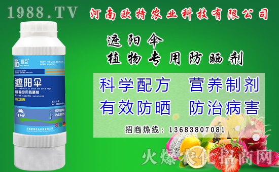 馬鈴薯可以和那些作物套種？馬鈴薯套種模式有什么好處？