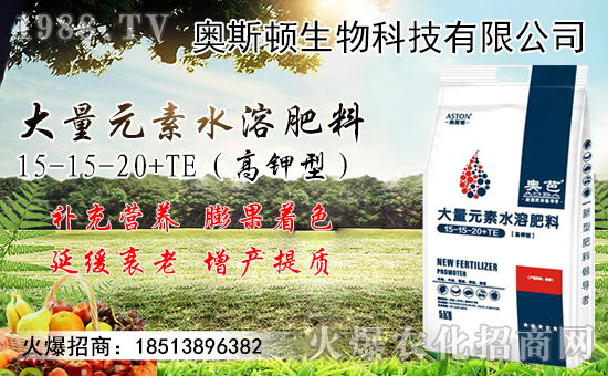 9月小麥?zhǔn)袌鲂星轭A(yù)測！附近期小麥?zhǔn)召弮r格！