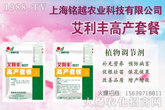 棉花吐絮是什么季節(jié)？常出現(xiàn)問題有哪些？棉花吐絮期管理要點！