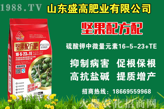 小麥價(jià)格還要上漲嗎？9月9日國(guó)內(nèi)小麥價(jià)格行情！