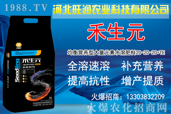 2020�Nֲ���y��ٍ�X�������y�����L�l�����Nֲǰ����