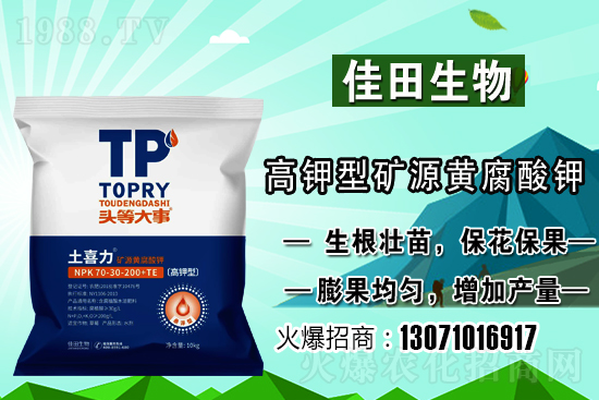 雪梨該怎樣種植？雪梨的種植時(shí)間和方法！