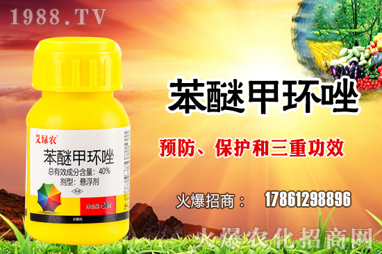 ����������x�����׷N�������׷NֲҪע����Щ���}��