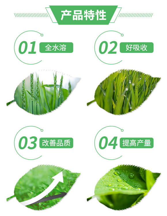 復混肥料27-16-10+6-保樂豐_02