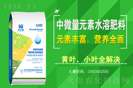 �S����ԓ��ô�Nֲ���S���˷Nֲ�^����ע����Щ���}��