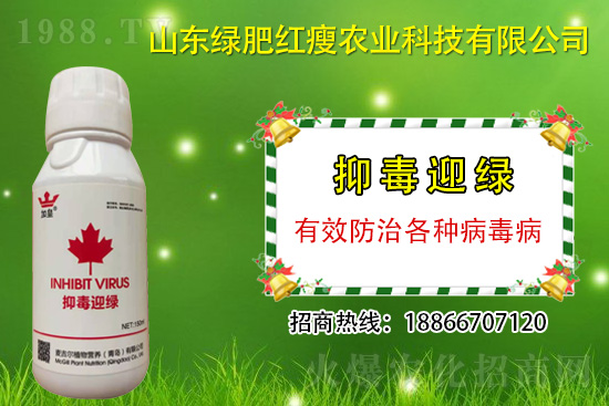 ���β�������Ҳ���ð������ֶ�ӭ�G�����β�������