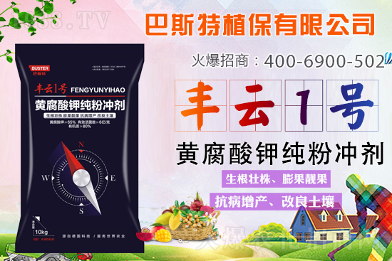 新品上市，定金翻倍！1000定金抵2000，超值優(yōu)惠，限時搶定...