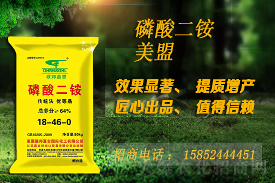 磷銨是漲還是跌？10月16日磷銨價格行情