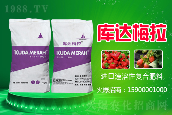 復(fù)合肥價格日報，10月28日國內(nèi)化肥價格