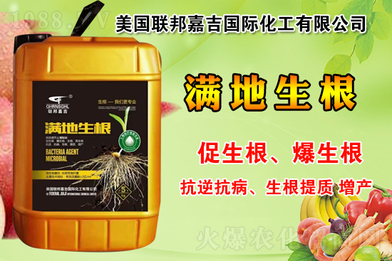 聯(lián)邦嘉吉怎么樣，聯(lián)邦嘉吉有哪些特色？公司暢銷產(chǎn)品有哪些？