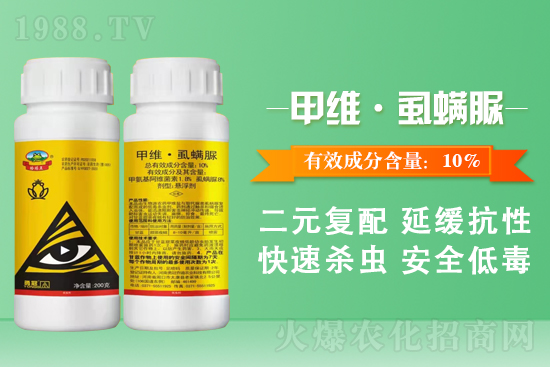 勇冠喬迪再簽1988.TV，鑄就新輝煌！