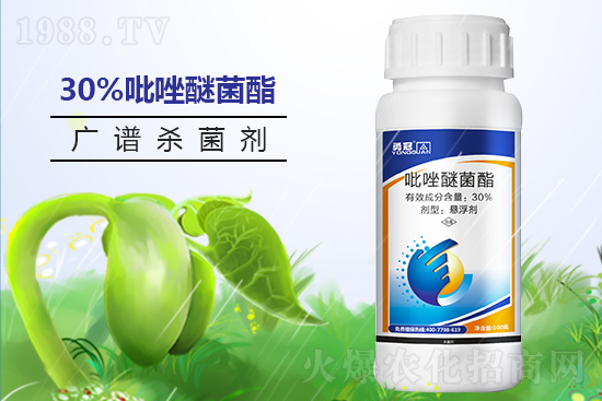 勇冠喬迪再簽1988.TV，鑄就新輝煌！