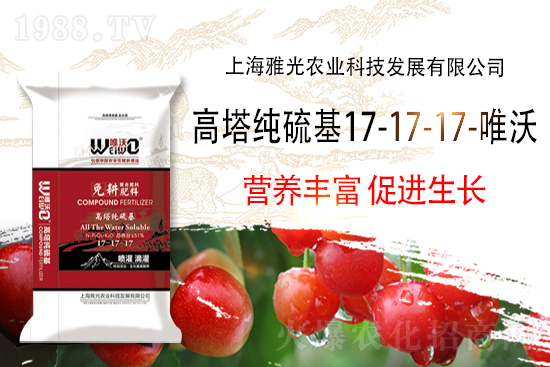 復(fù)合肥出廠報(bào)價(jià)，11月8日復(fù)合肥價(jià)格行情