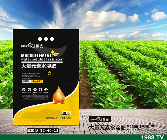 暫穩(wěn)運(yùn)行，2021.12.31今日磷酸二銨價格