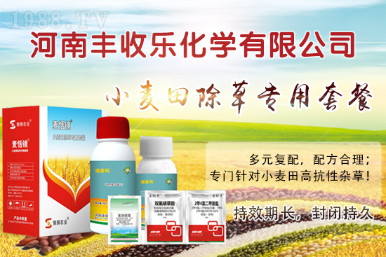 小麥田怎樣除草更？該怎么選用除草劑？