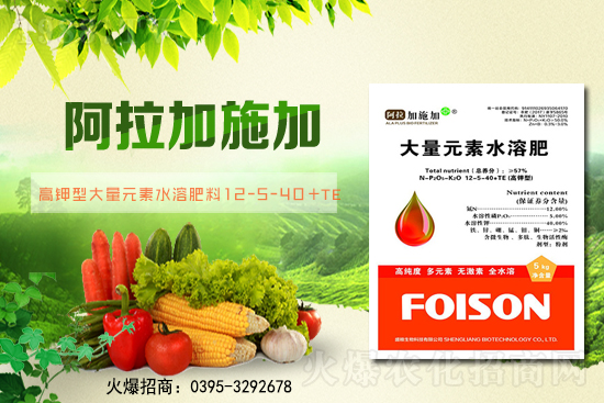 2��6��ȫ��С����r��С���r��ͻ��1.57Ԫ/��