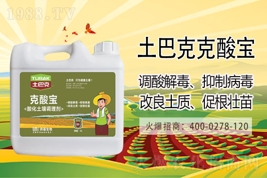 今日大豆價格市場行情報價2021年3月10日