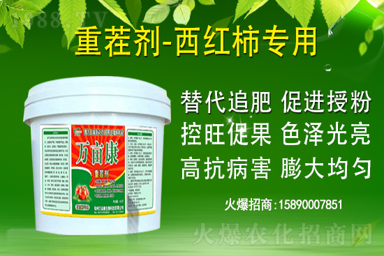 為什么果樹(shù)促梢建議用硝酸銨鈣，不建議用尿素？